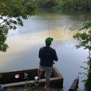 Meet your Posher, Stephen